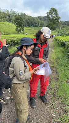 Sampul folder Minur Di Sini