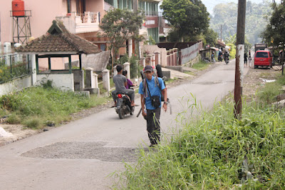 Sampul folder Survey