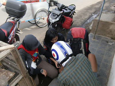 Sampul folder Survival