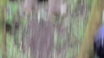 Sampul folder Video Clip