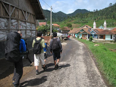 Sampul folder Survey Survival