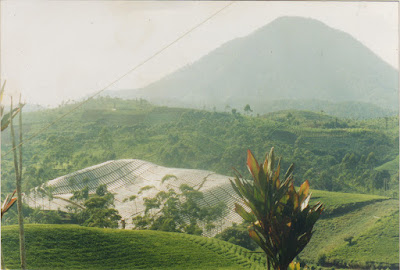 Sampul folder 02 - Praktik Lapangan
