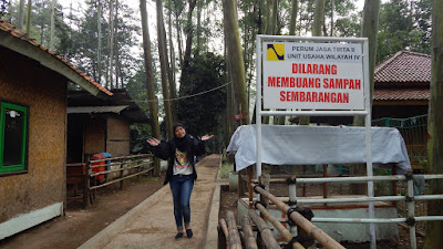 DSCN8310.JPG