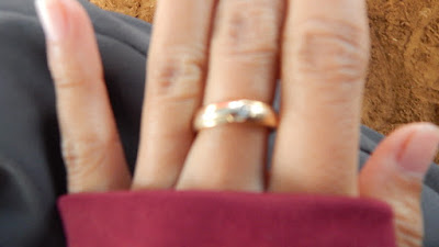DSCN8337.JPG