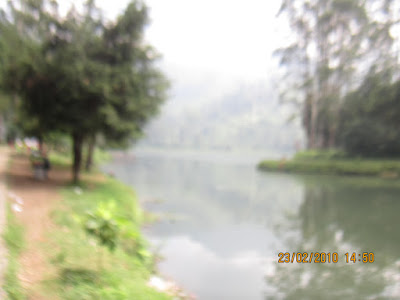 IMG_2698.JPG