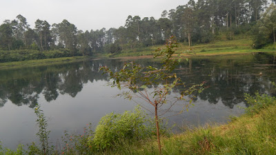 DSCN8243.JPG