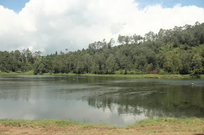 Cisanti OP 1_170511_0171.jpg