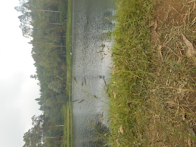 DSCN0475.JPG
