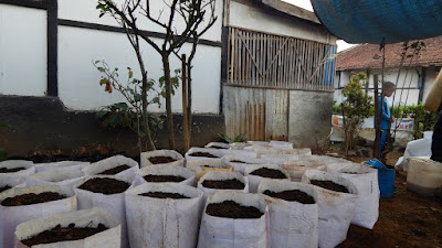 DSCN8315.JPG