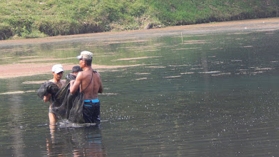 DSCN8159.JPG