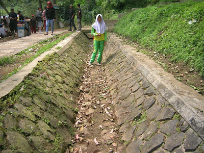 DSCN7334.JPG