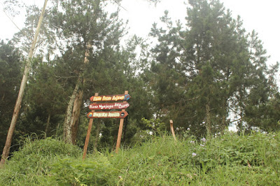 Cisanti OP 1_170511_0046.jpg