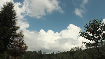 Cisanti OP 1_170511_0125.jpg