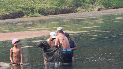 DSCN8153.JPG