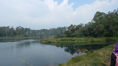 DSCN8170.JPG