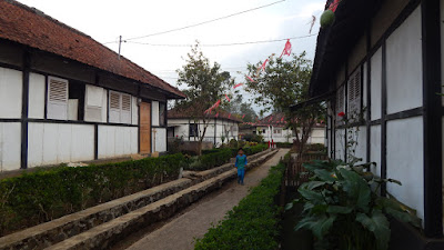 DSCN8318.JPG