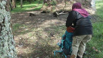 Cisanti OP 1_170511_0124.jpg
