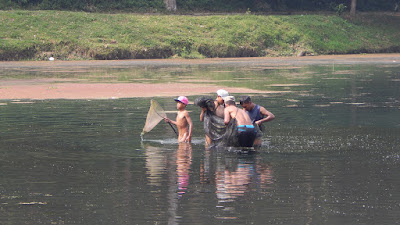 DSCN8150.JPG