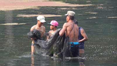 DSCN8149.JPG