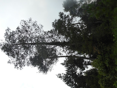 DSCN0482.JPG