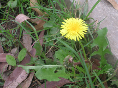 DSCN7329.JPG