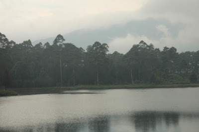 Cisanti OP 1_170511_0030.jpg