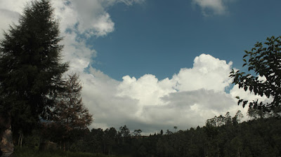 Cisanti OP 1_170511_0126.jpg