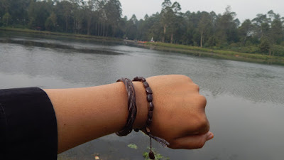 DSCN8240.JPG