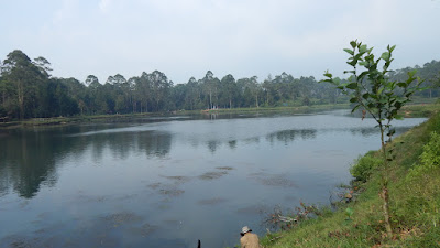 DSCN8168.JPG