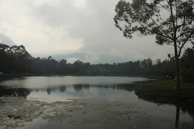 Cisanti OP 1_170511_0031.jpg