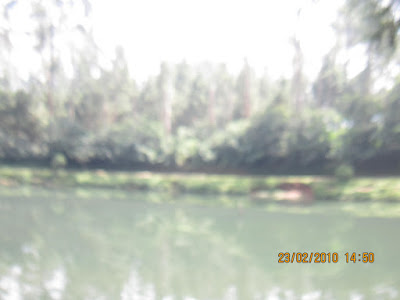 IMG_2696.JPG
