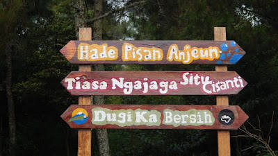 DSCN8301.JPG