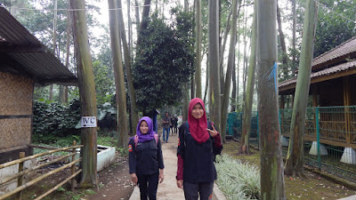 DSCN8308.JPG