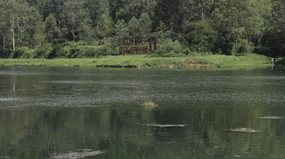 Cisanti OP 1_170511_0134.jpg
