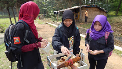 DSCN8137.JPG