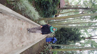 DSCN8304.JPG