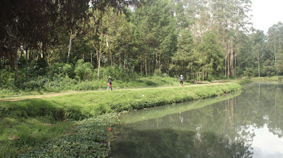 Cisanti OP 1_170511_0121.jpg