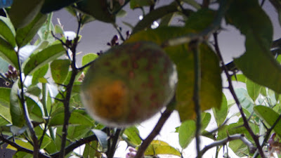 DSCN8329.JPG