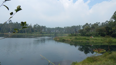 DSCN8171.JPG