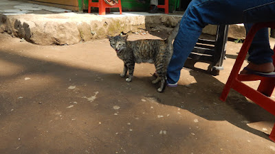 DSCN8108.JPG