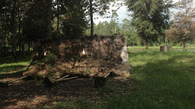 Cisanti OP 1_170511_0128.jpg