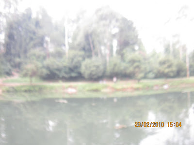 IMG_2720.JPG