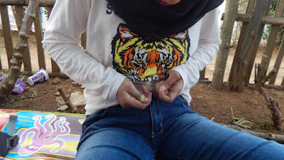 DSCN8327.JPG