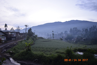 _DSC0132.JPG