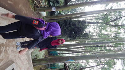 DSCN8309.JPG