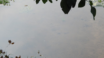 DSCN8248.JPG