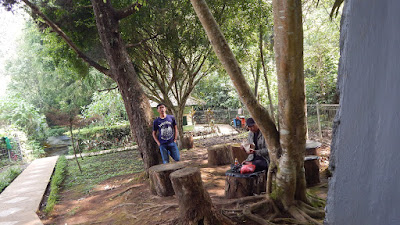 DSCN8148.JPG