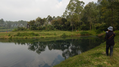 DSCN8172.JPG