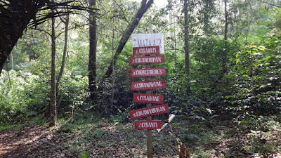 DSCN8147.JPG