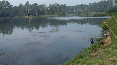 DSCN8166.JPG